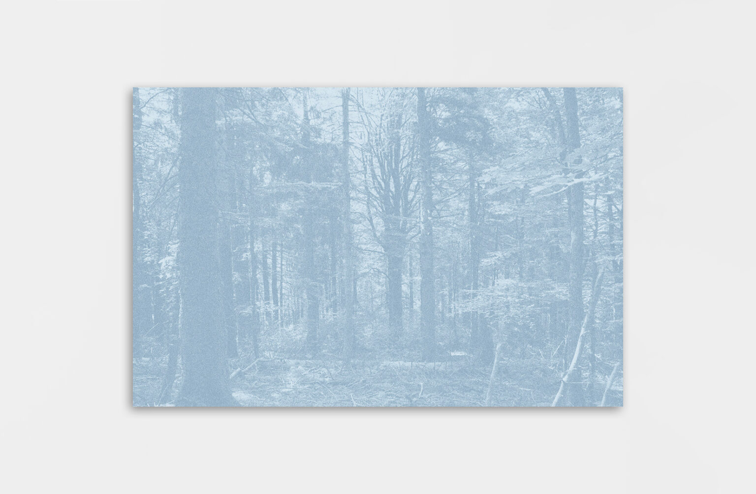 Léa Habourdin - Des mondes en extension - BA0189