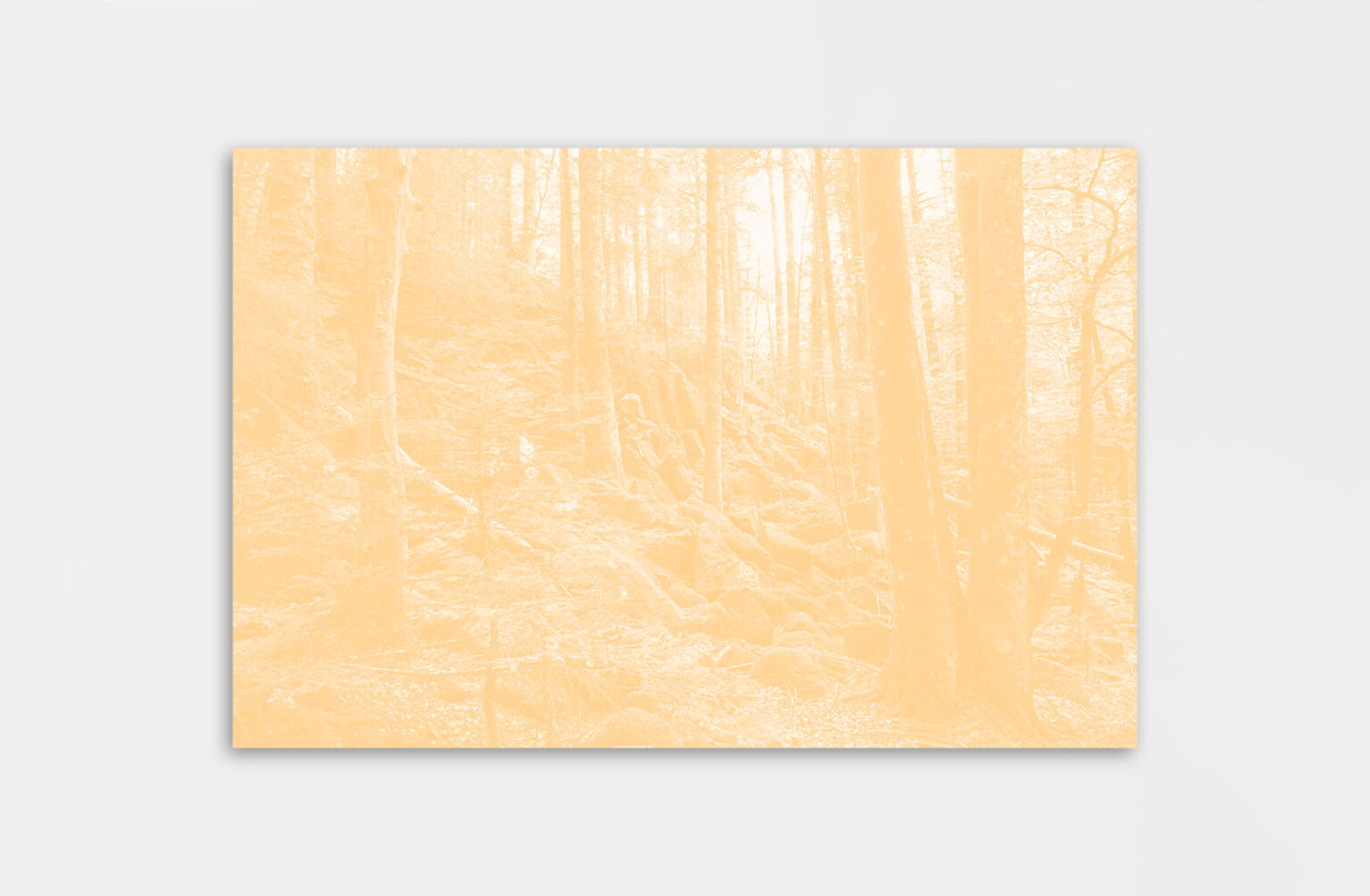 Léa Habourdin - Des mondes en extension - BA0271