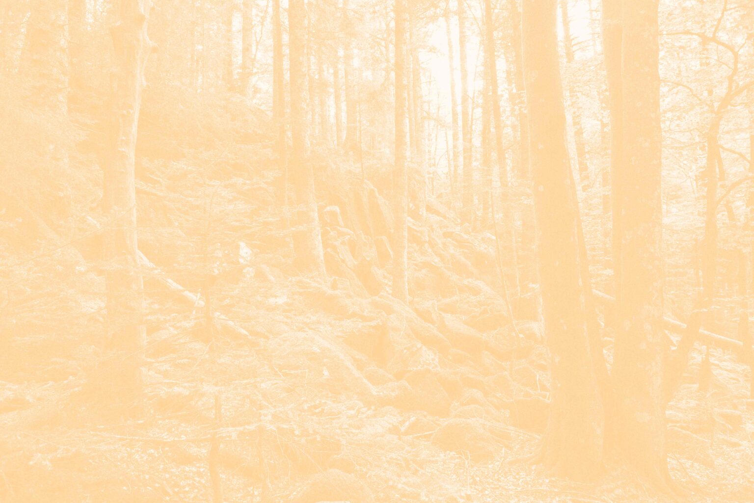 Léa Habourdin - Des mondes en extension - BA0271