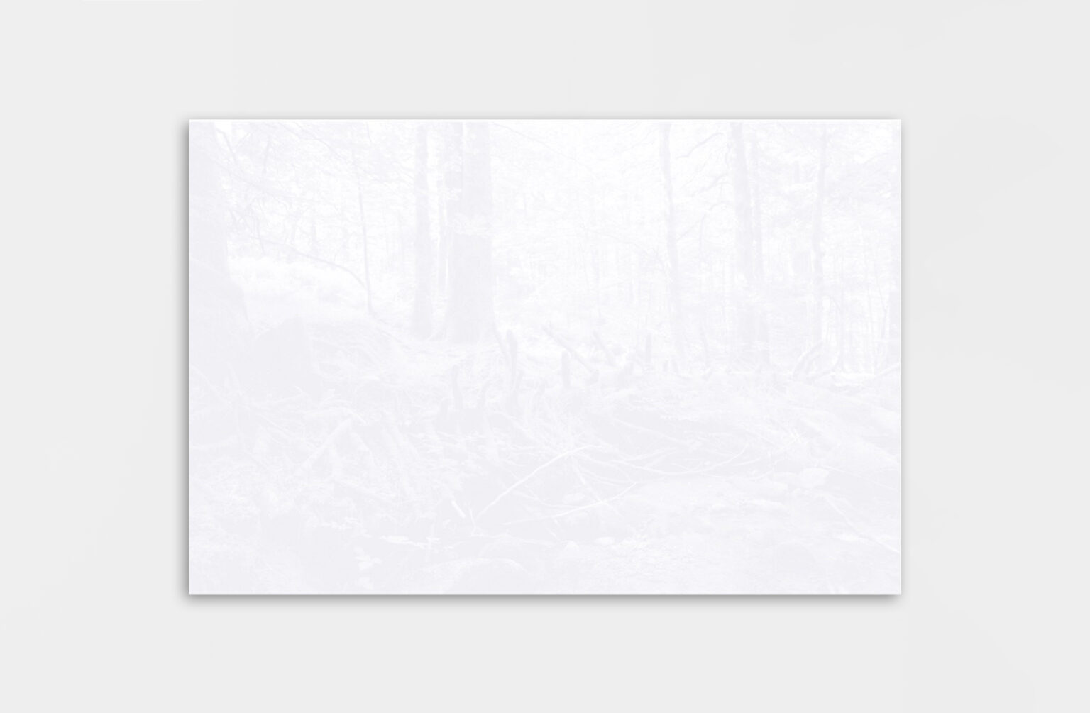 Léa Habourdin - Des mondes en extension - BA0262