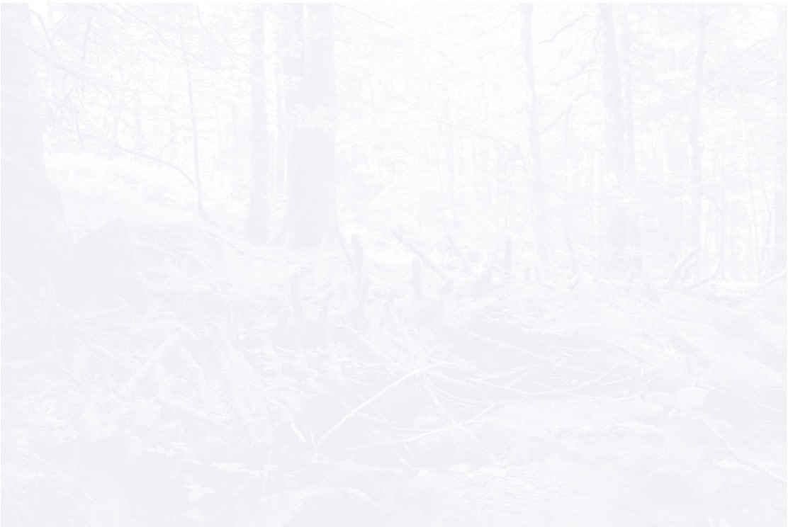 Léa Habourdin - Des mondes en extension - BA0262