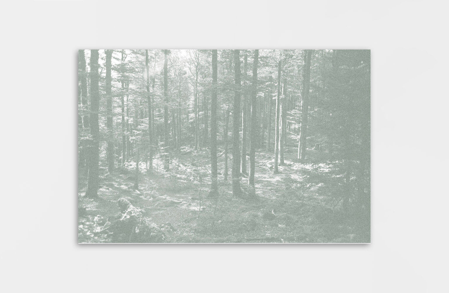 Léa Habourdin - Des mondes en extension - GV0021