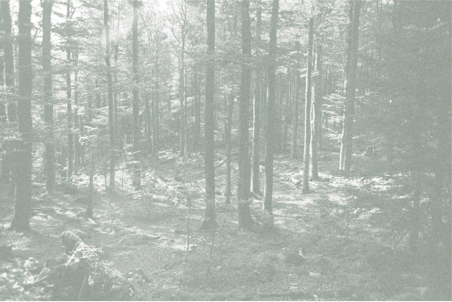 Léa Habourdin - Des mondes en extension - GV0021