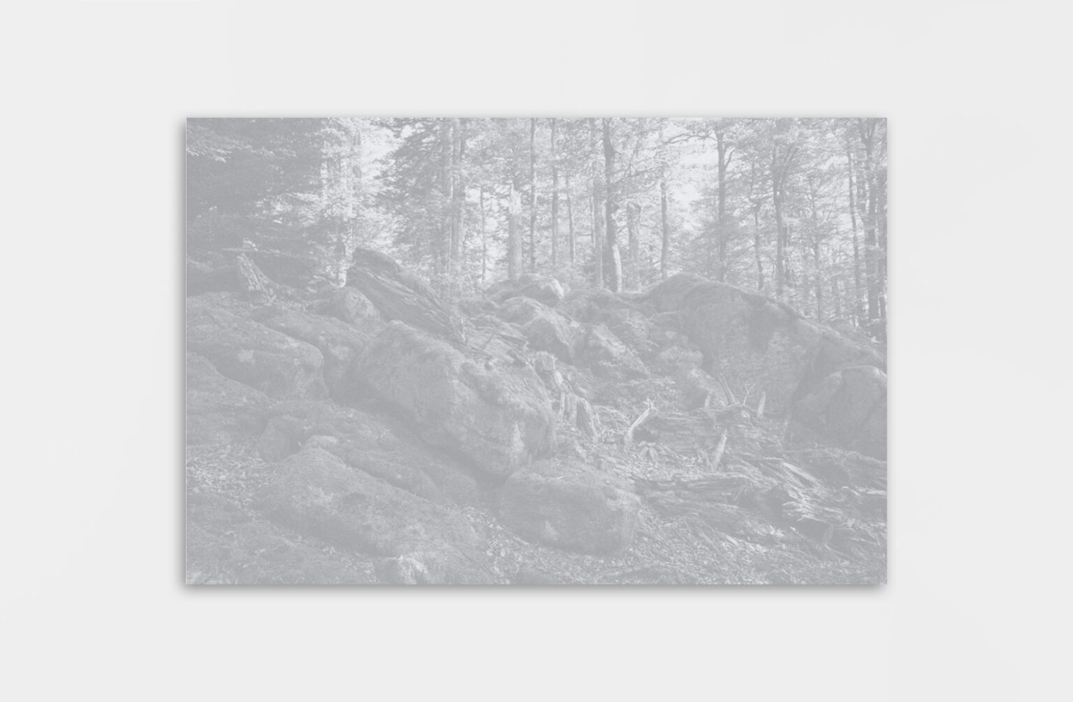 Léa Habourdin - Des mondes en extension - GV0025