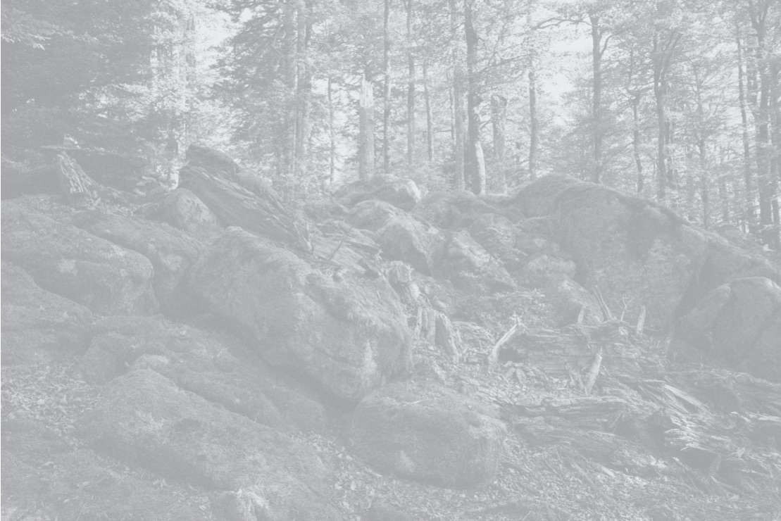 Léa Habourdin - Des mondes en extension - GV0025