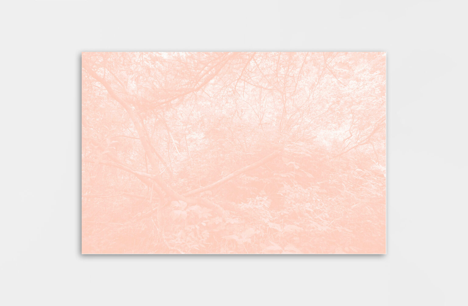 Léa Habourdin - Des mondes en extension - Q4032