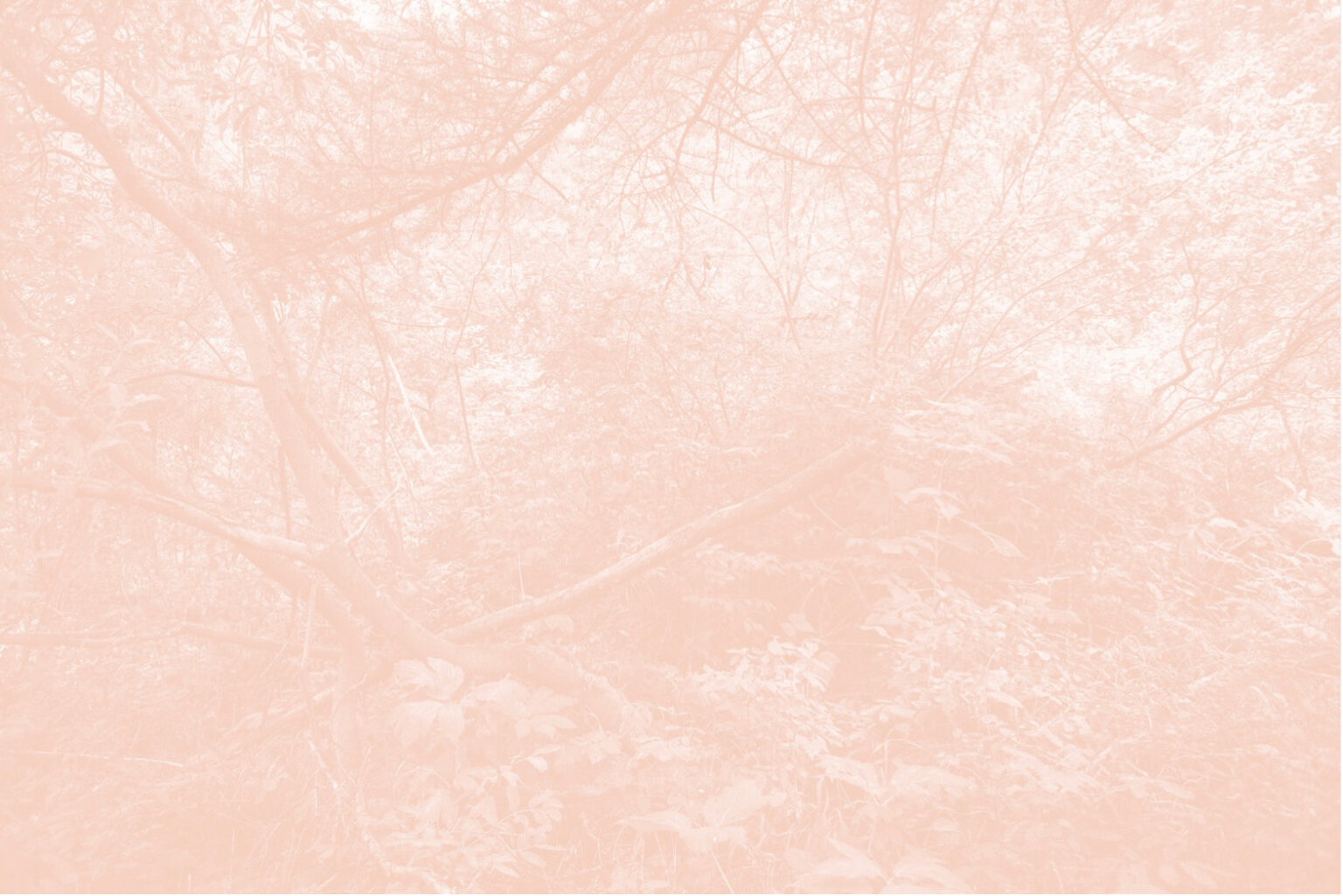 Léa Habourdin - Des mondes en extension - Q4032