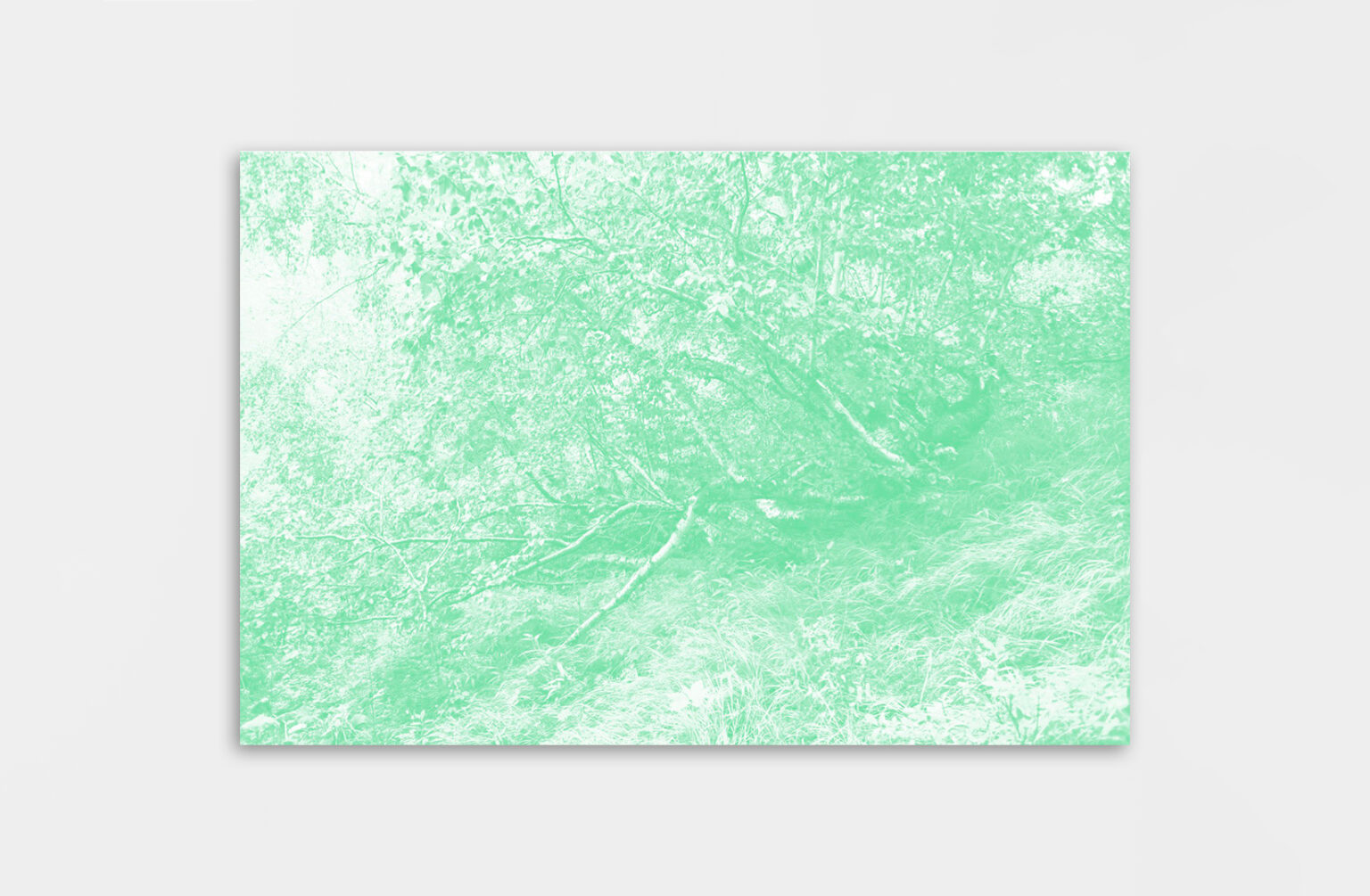 Léa Habourdin - Des mondes en extension - Q4162