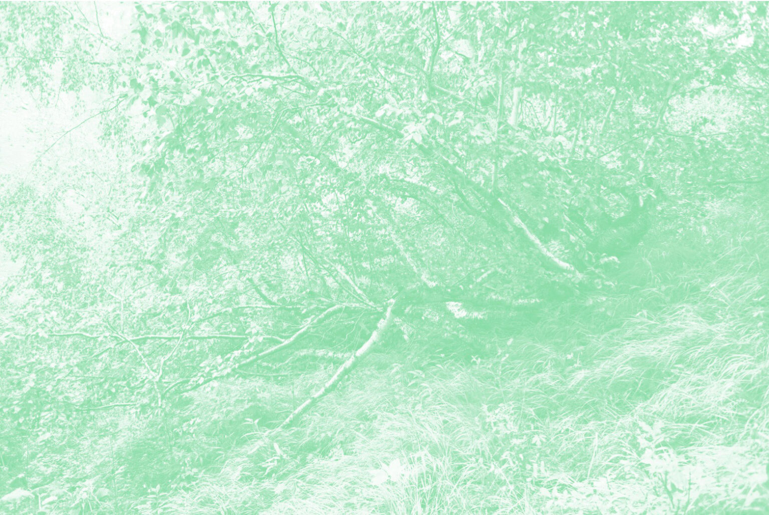 Léa Habourdin - Des mondes en extension - Q4162