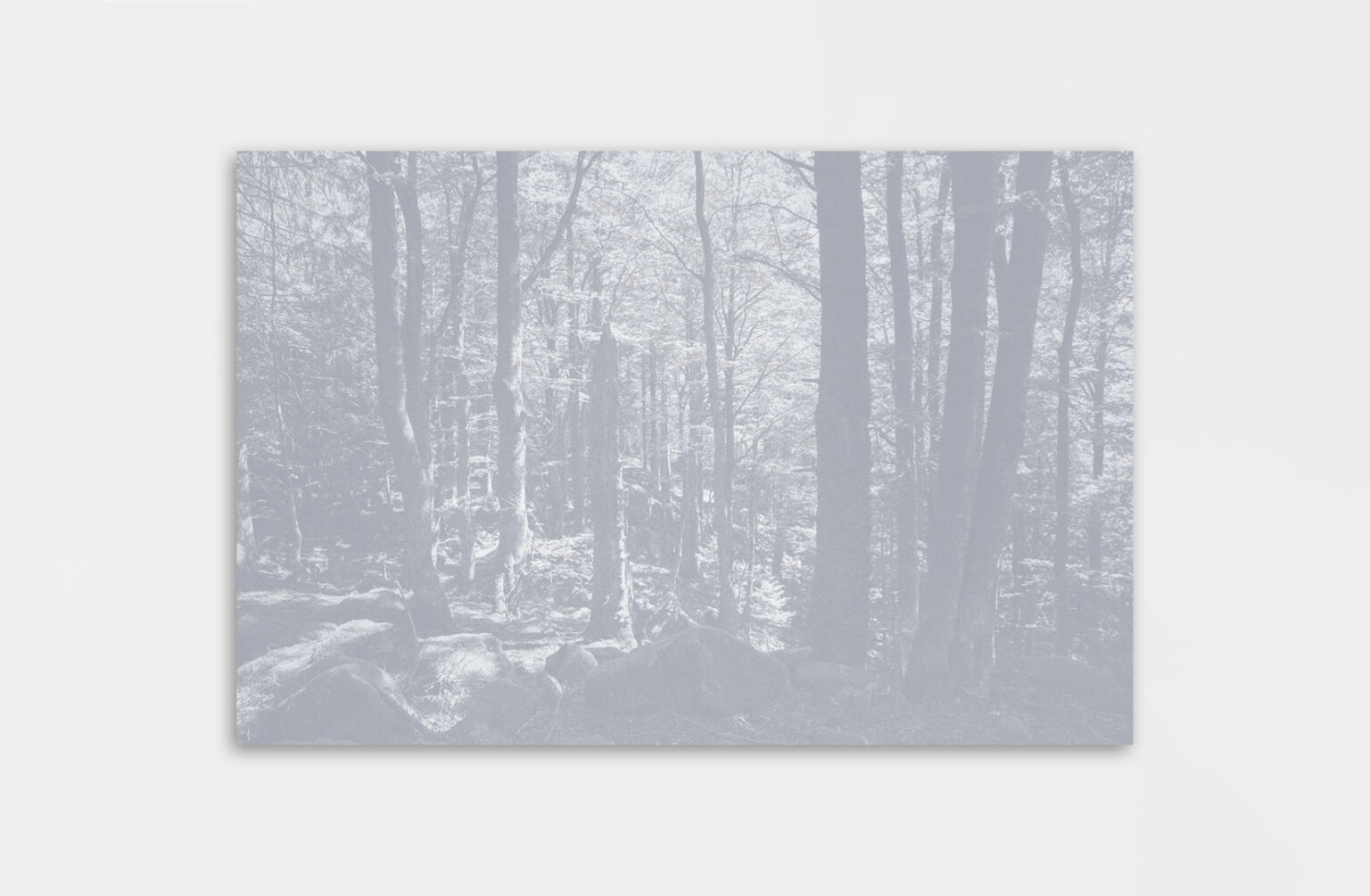 Léa Habourdin - Des mondes en extension - Q4169