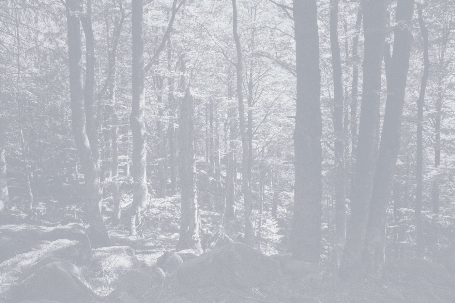 Léa Habourdin - Des mondes en extension - Q4169