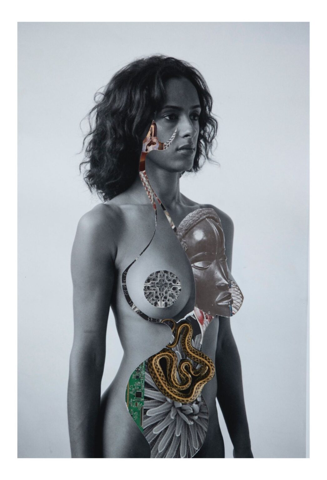 Delphine Diallo - The Vessel