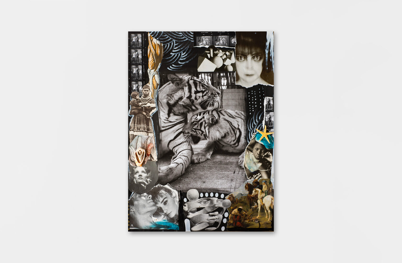 Delphine Diallo - The tigers