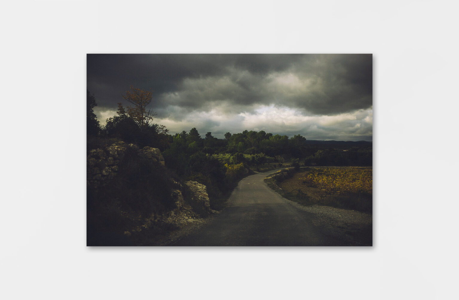 Pampa - Stéphane Lavoué