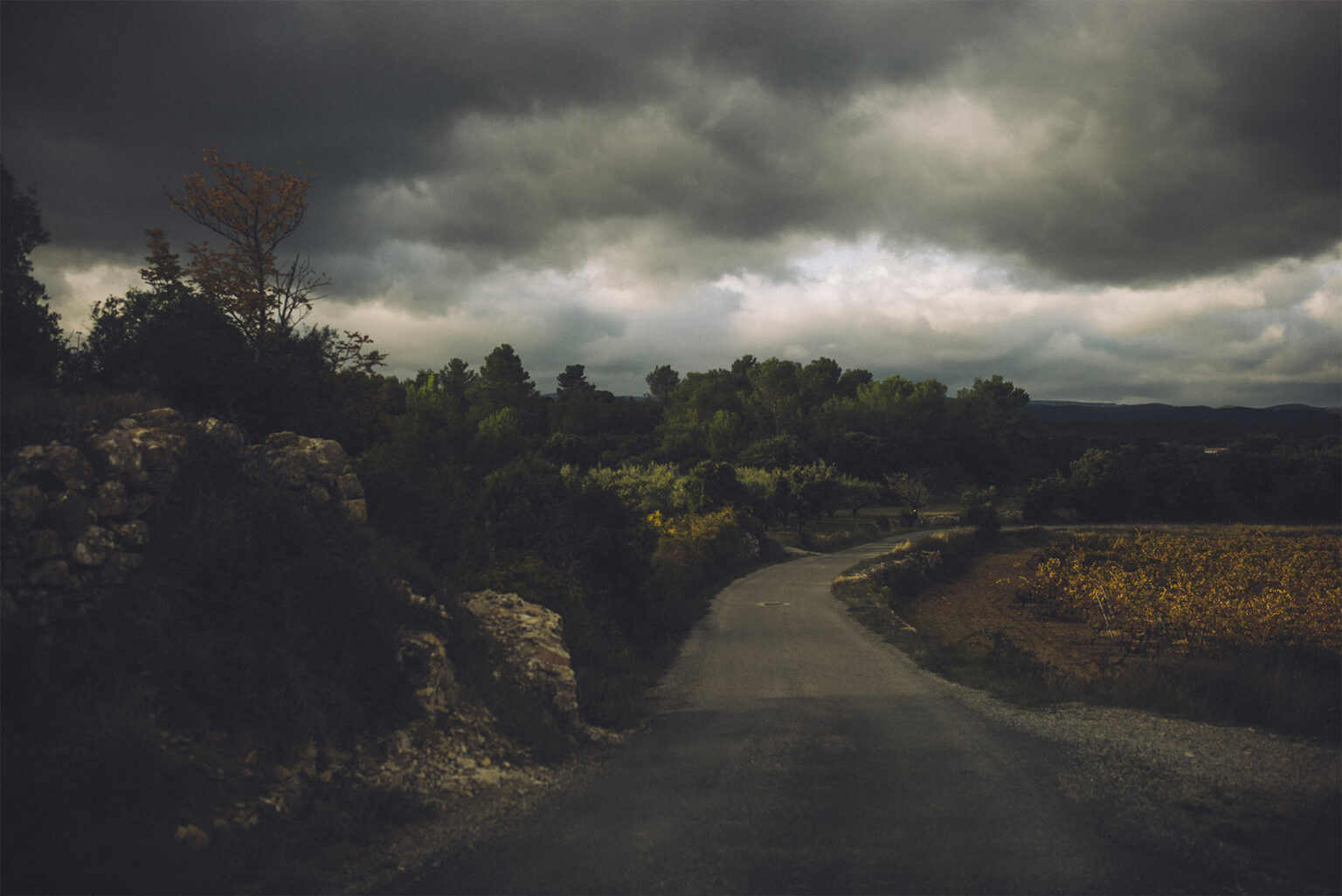 Pampa - Stéphane Lavoué