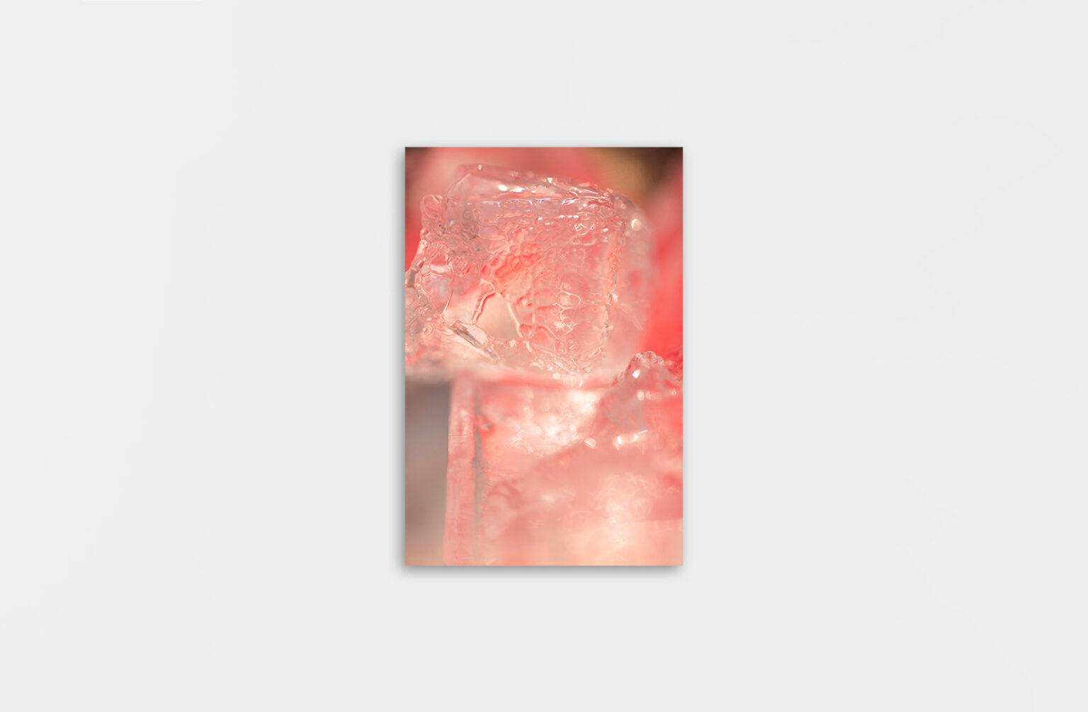 Christopher Barraja - De chlore et de rosé