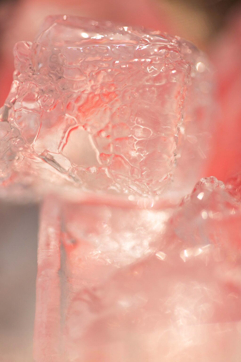 Christopher Barraja - De chlore et de rosé