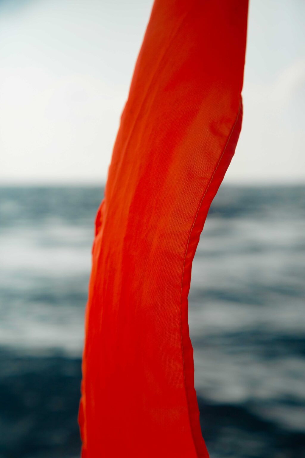 Christopher Barraja - De chlore et de rosé