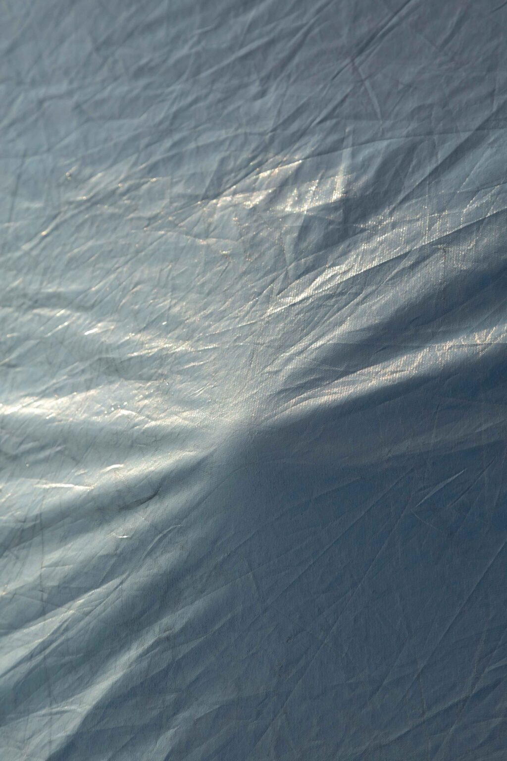 Christopher Barraja - De chlore et de rosé