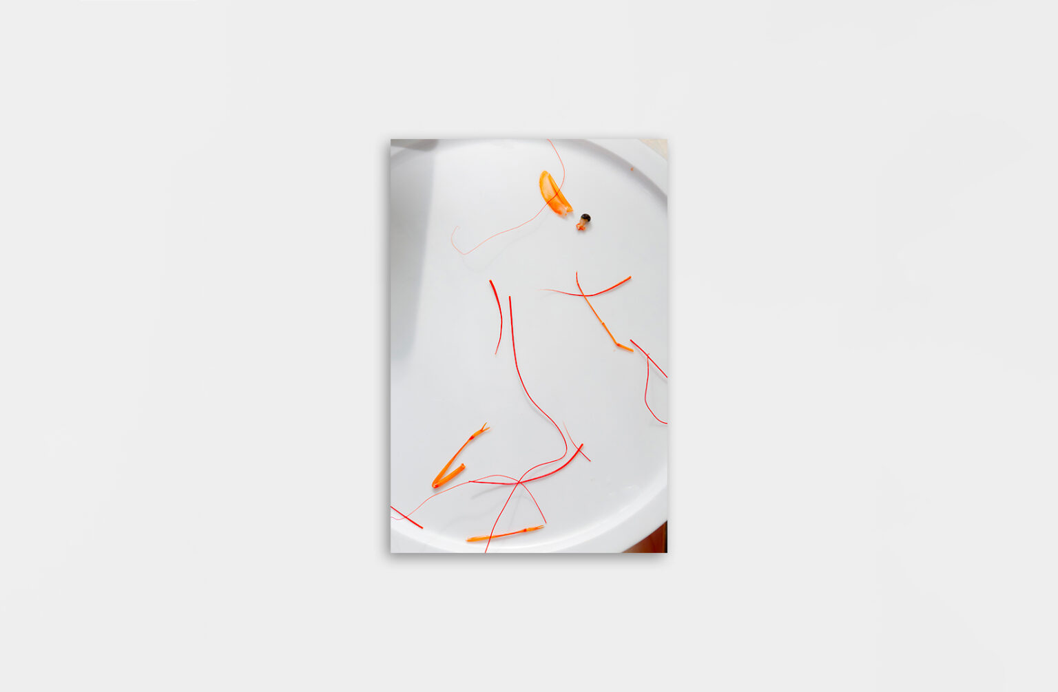 De chlore et de rosé - Christopher Barraja