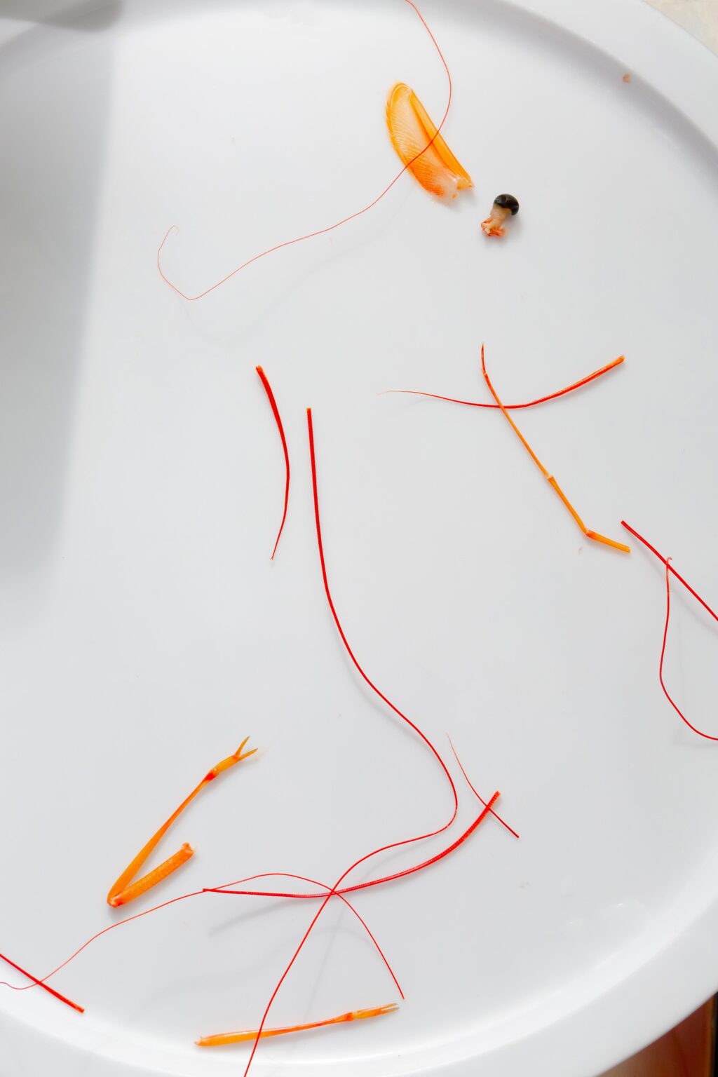 De chlore et de rosé - Christopher Barraja