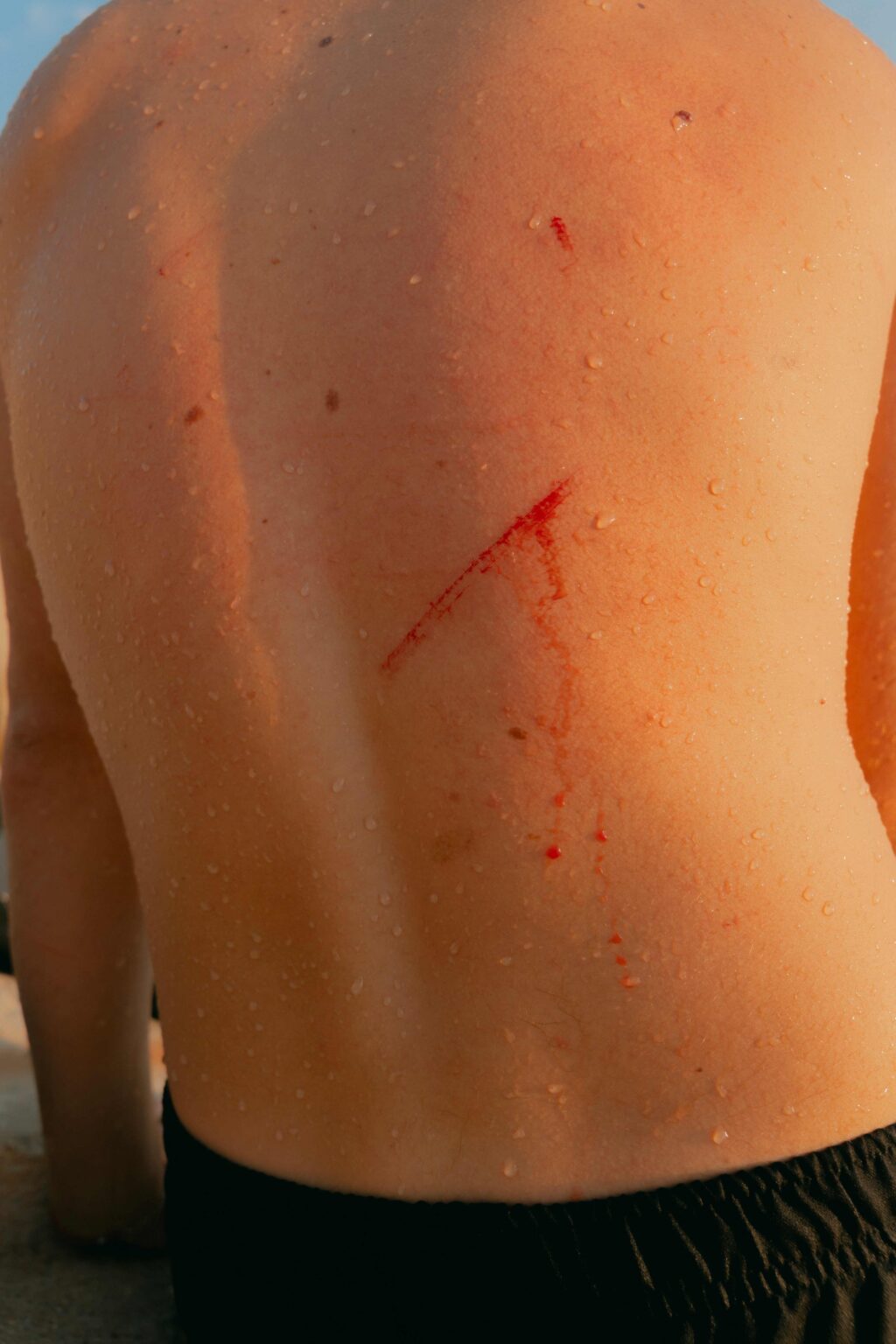 Christopher Barraja - De chlore et de rosé