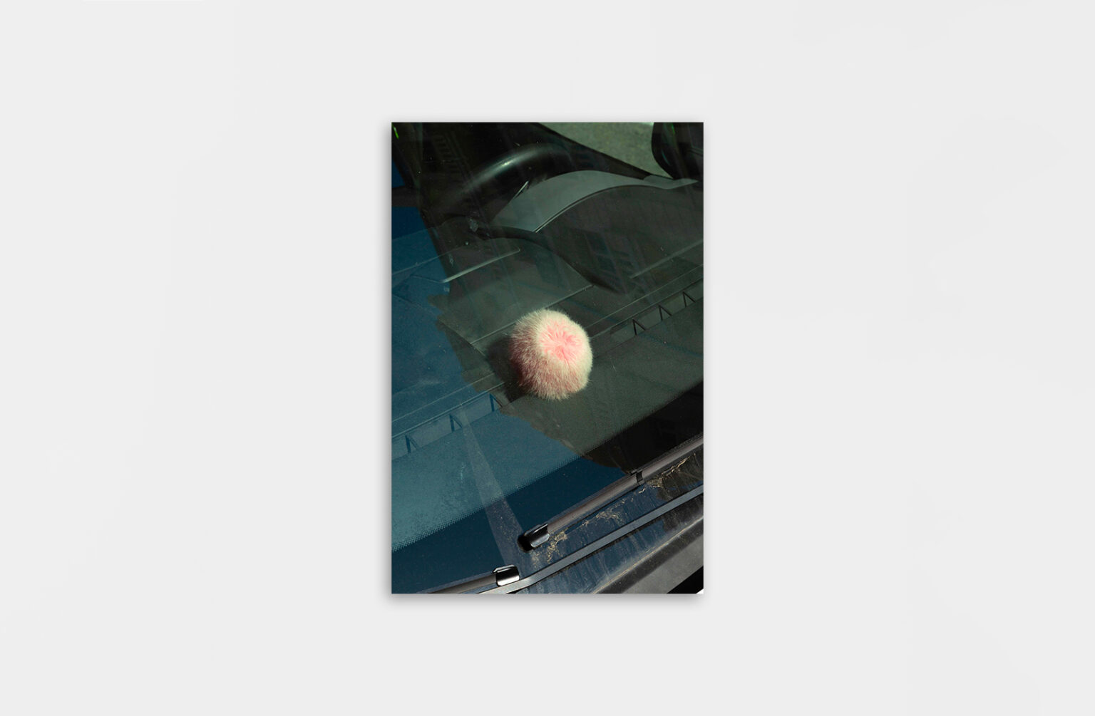 De chlore et de rosé - Christopher Barraja