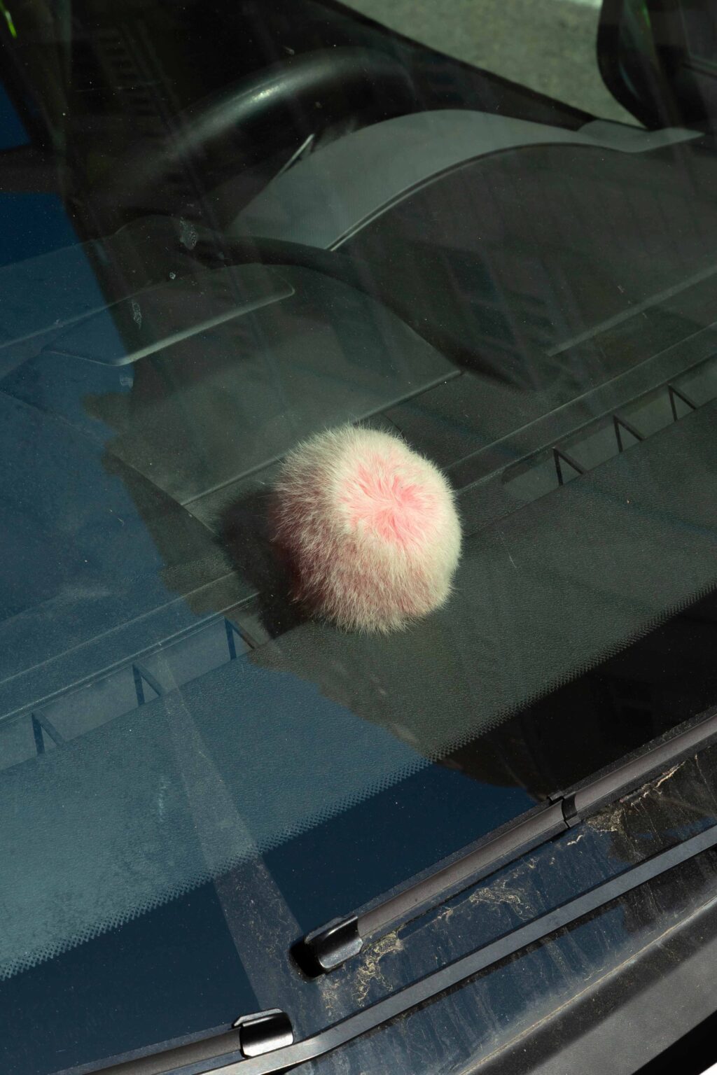 De chlore et de rosé - Christopher Barraja