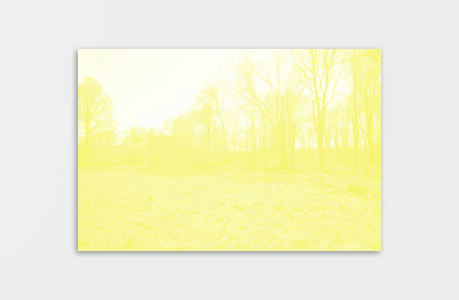 Léa Habourdin - Des mondes en extension - A04994