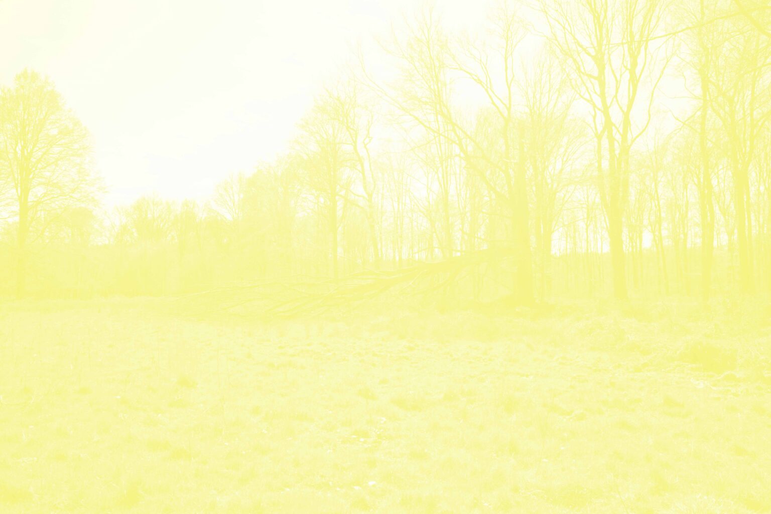 Léa Habourdin - Des mondes en extension - A04994