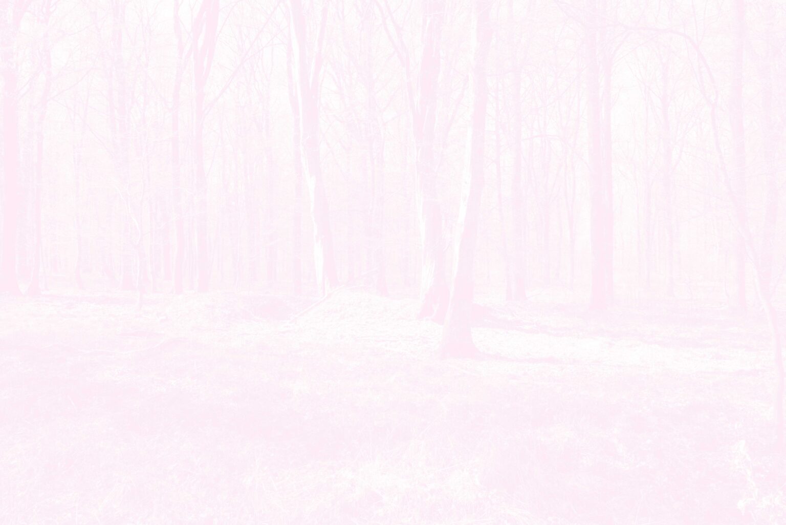 Léa Habourdin - Des mondes en extension - A05002