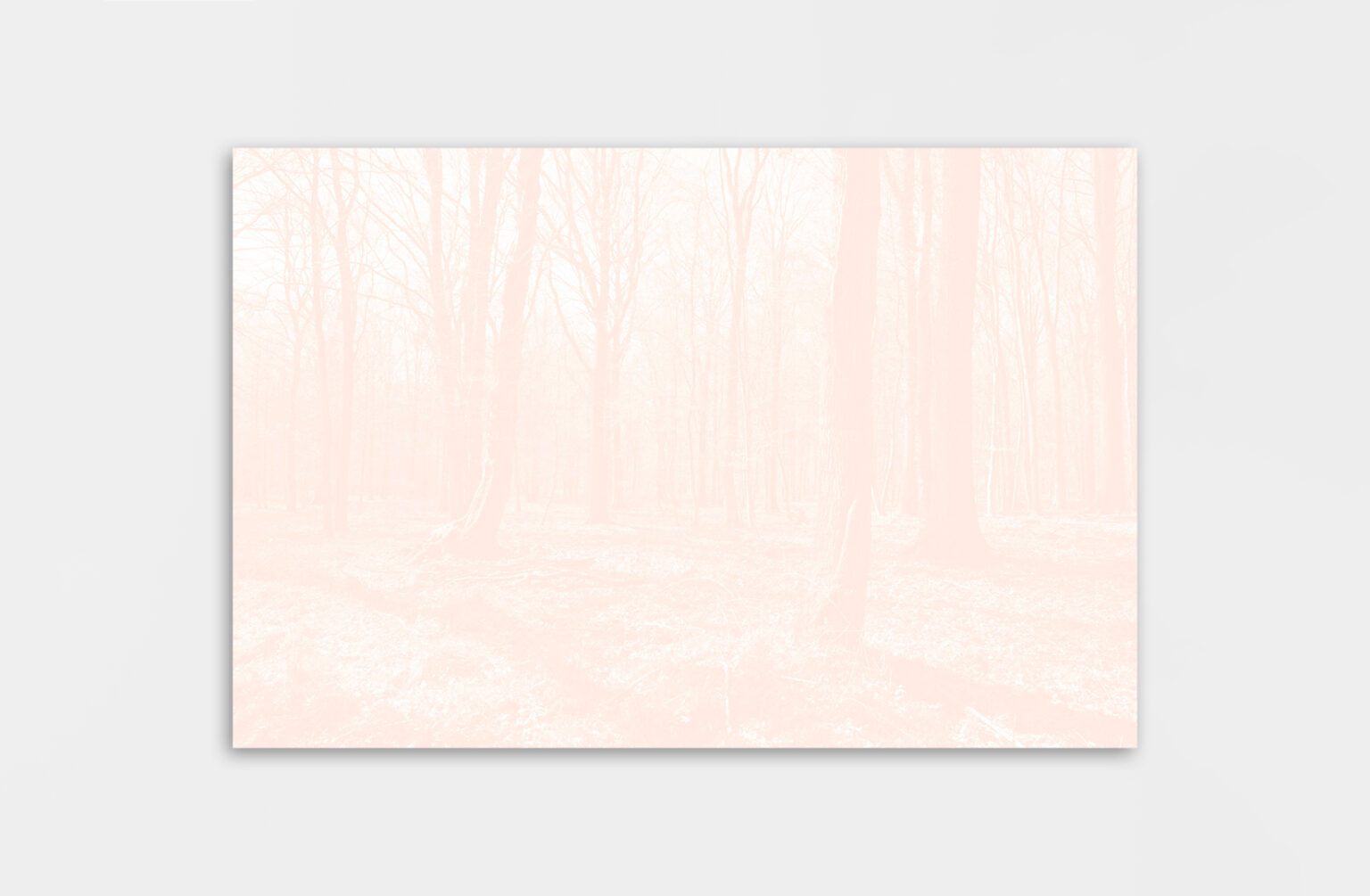 Léa Habourdin - Des mondes en extension - A05017