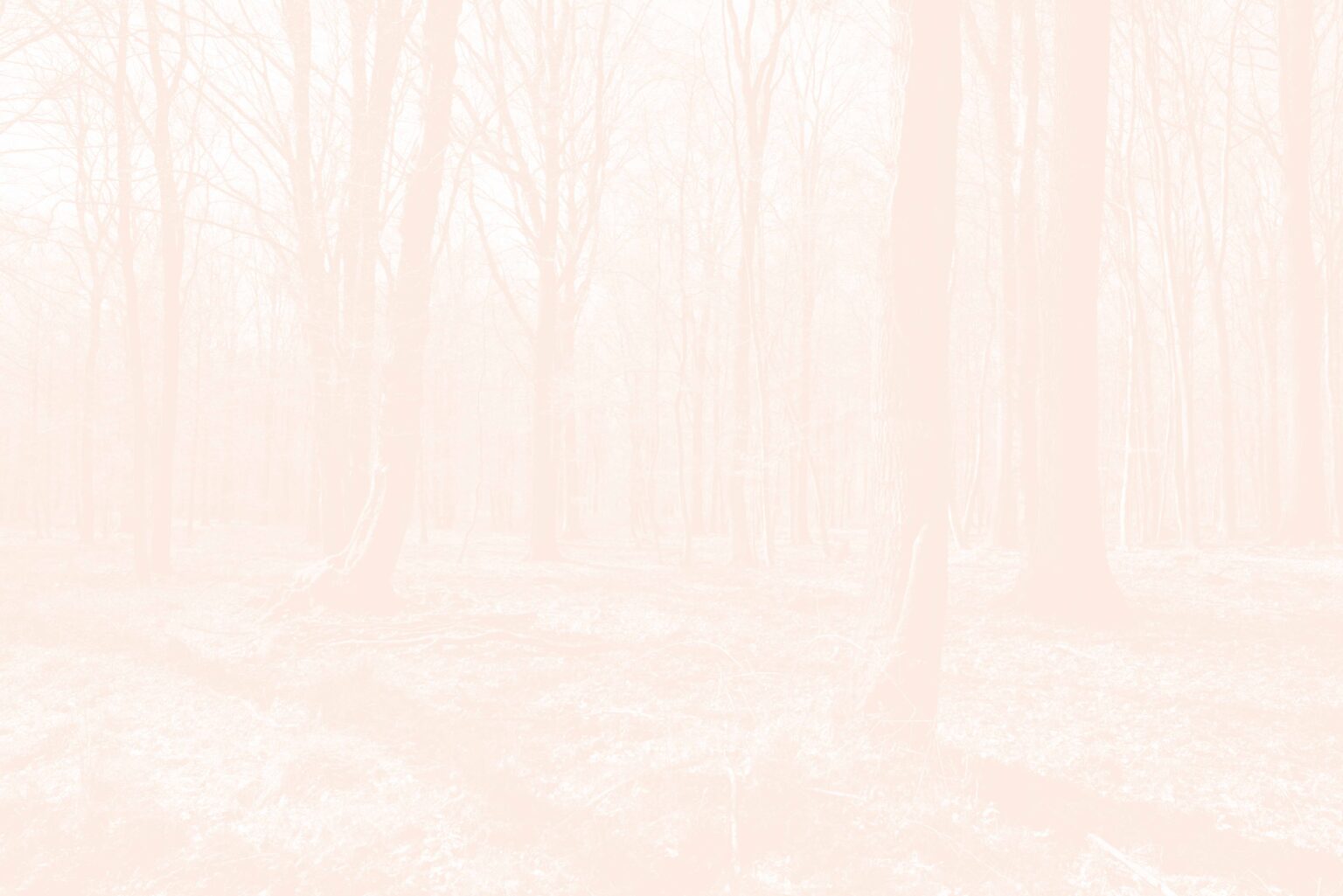 Léa Habourdin - Des mondes en extension - A05017