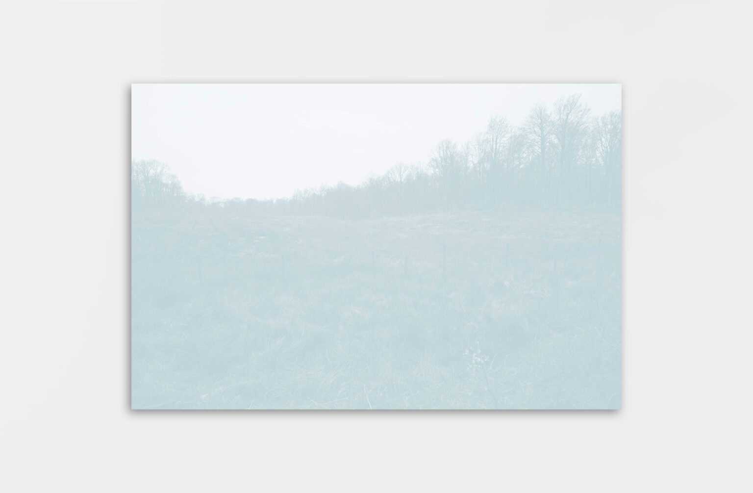 Léa Habourdin - Des mondes en extension - A05040