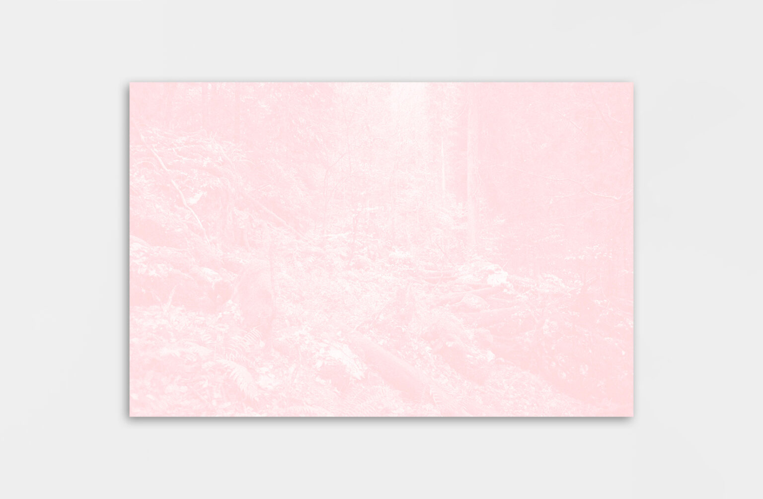 Léa Habourdin - Des mondes en extension - GV0089