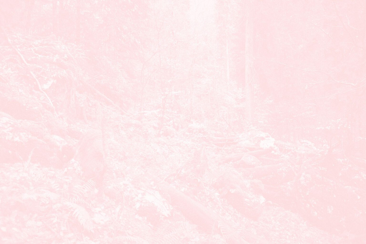 Léa Habourdin - Des mondes en extension - GV0089