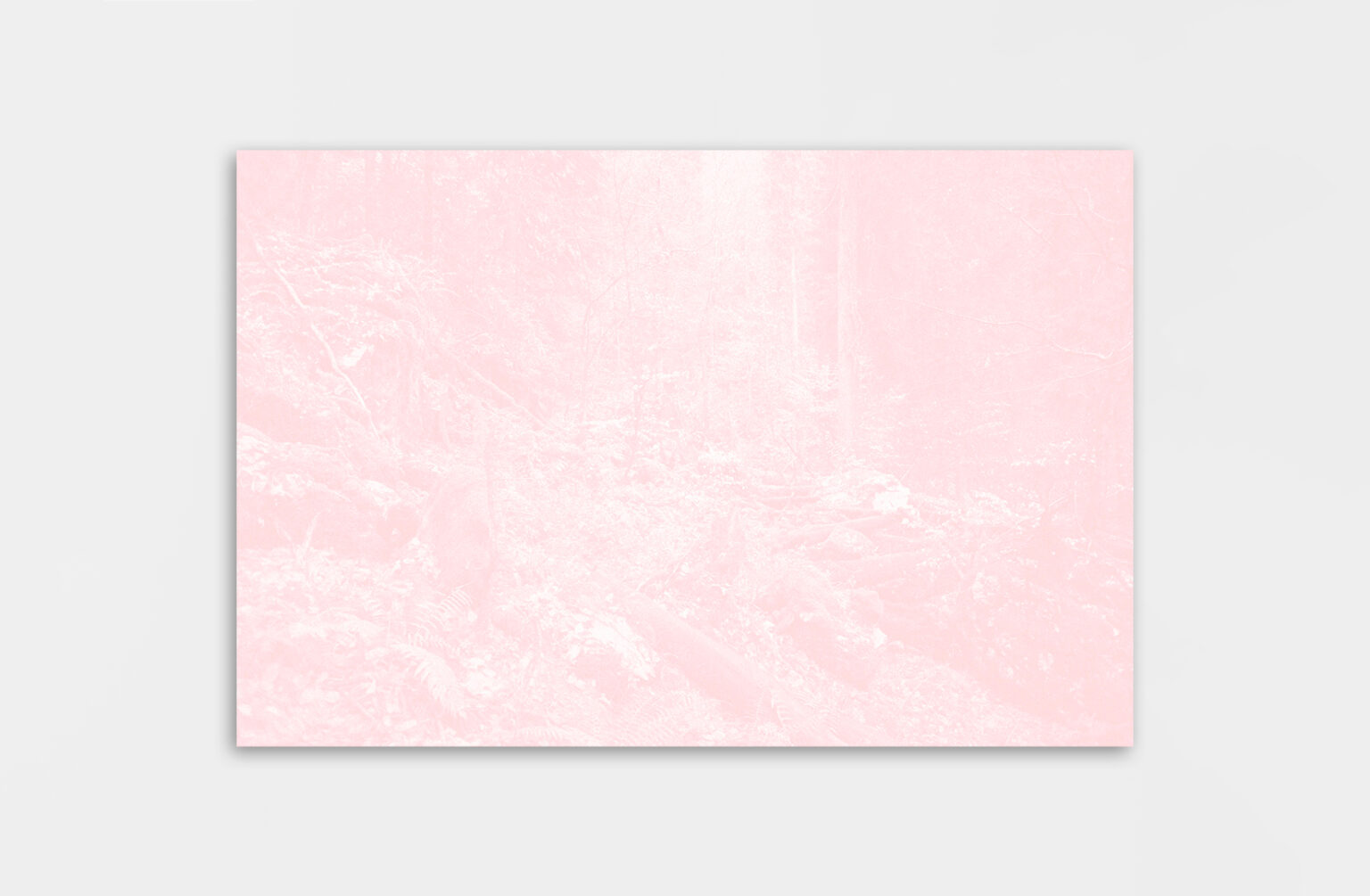 Léa Habourdin - Des mondes en extension - PC04944