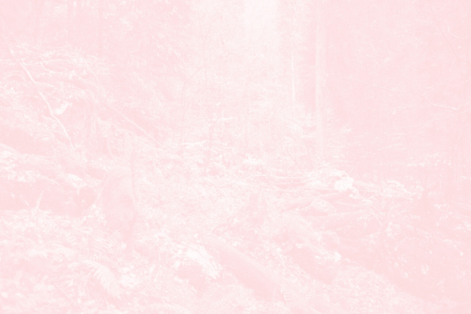 Léa Habourdin - Des mondes en extension - PC04944