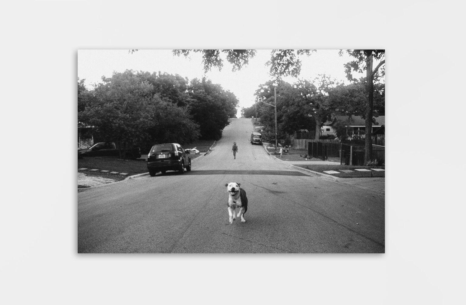 Théo Gosselin - Lost and Found - 461