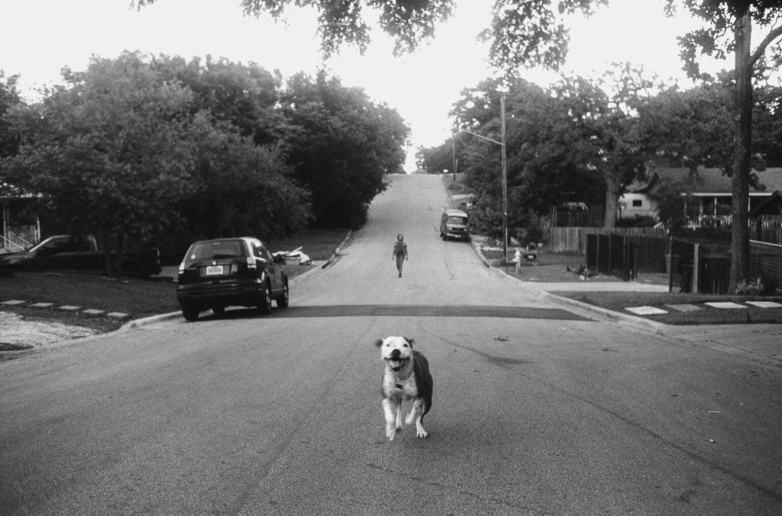 Théo Gosselin - Lost and Found - 461