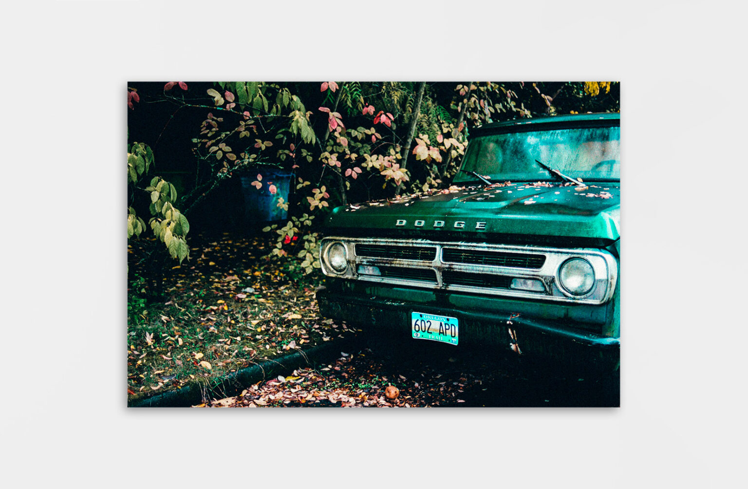 Théo Gosselin - Lost and Found - 526