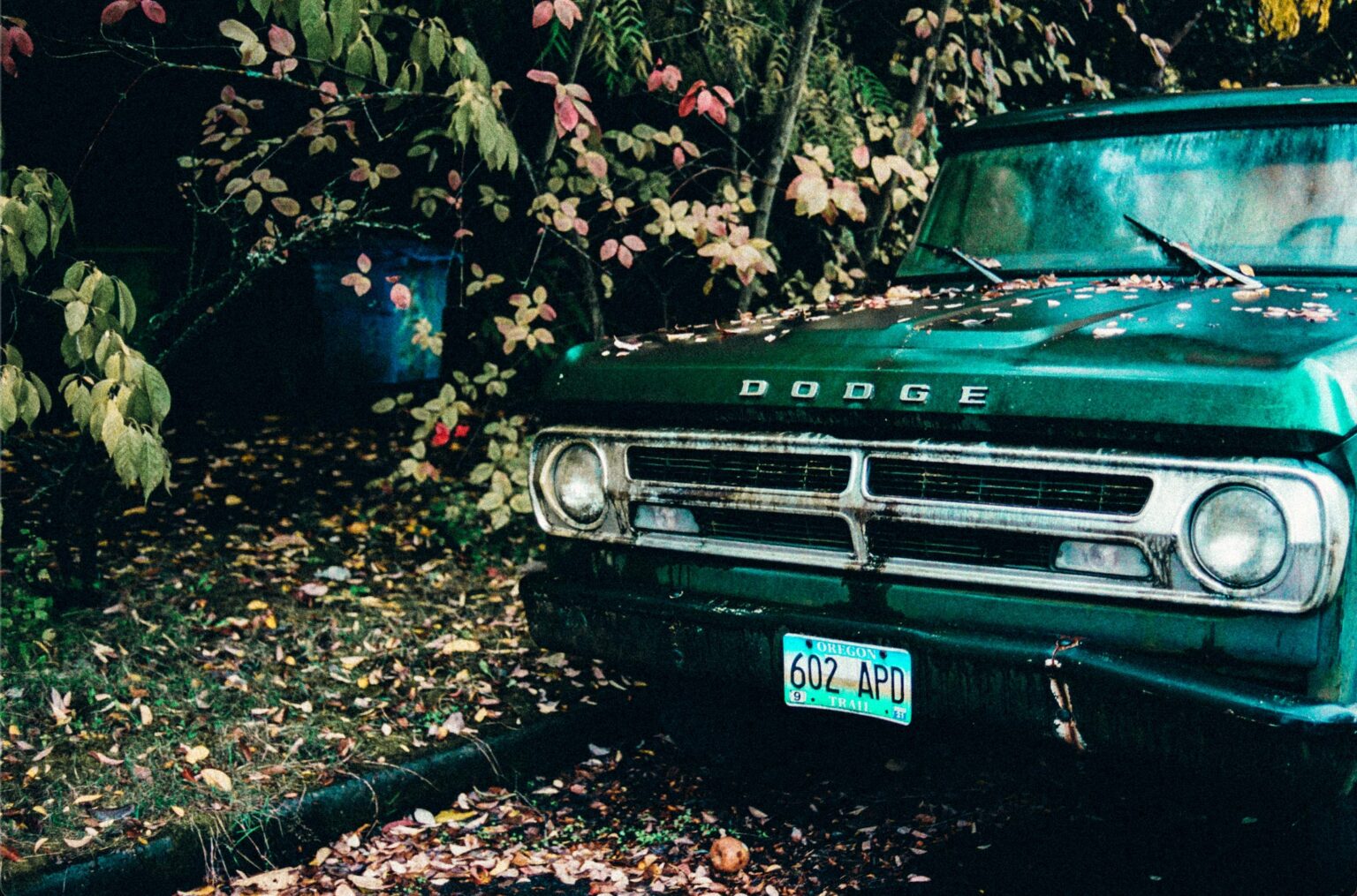 Théo Gosselin - Lost and Found - 526