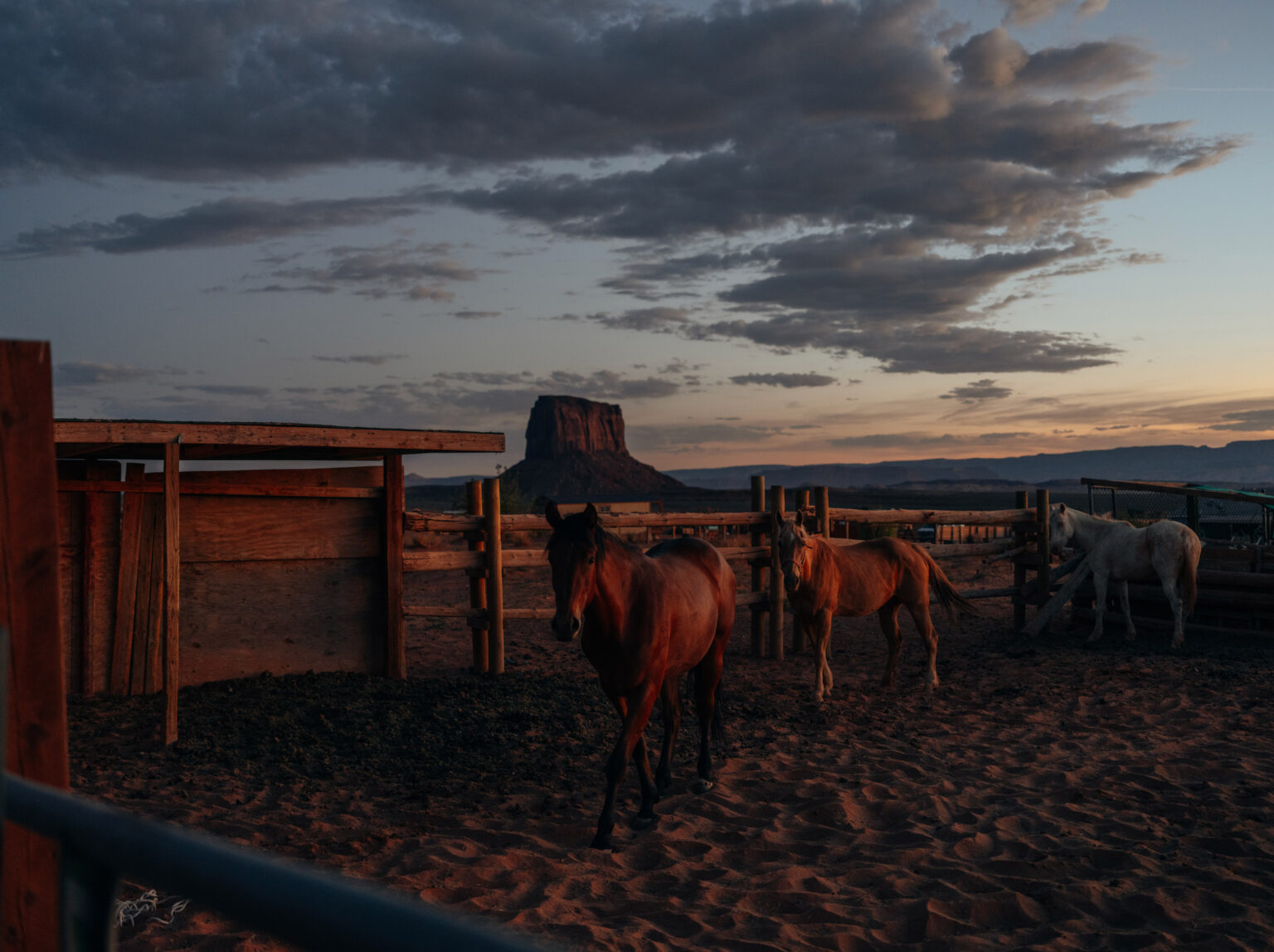 On the road again - Théo Gosselin