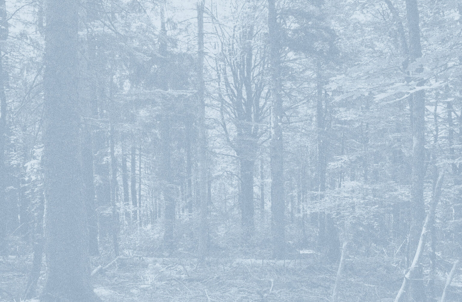 Léa Habourdin - Des mondes en extension - BA0189