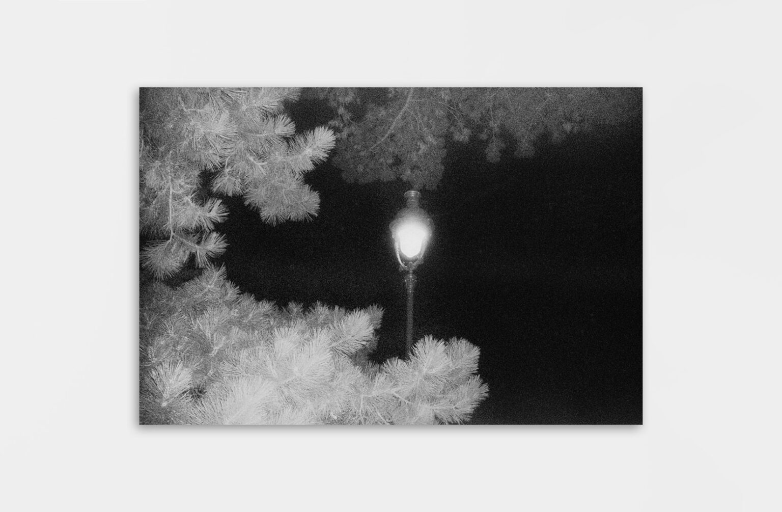 le soleil de la nuit - Juliette Alhmah