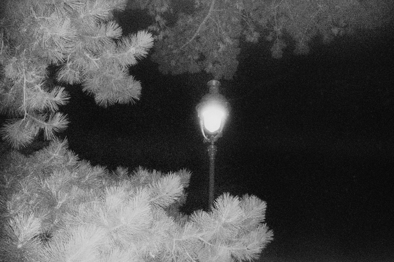 le soleil de la nuit - Juliette Alhmah