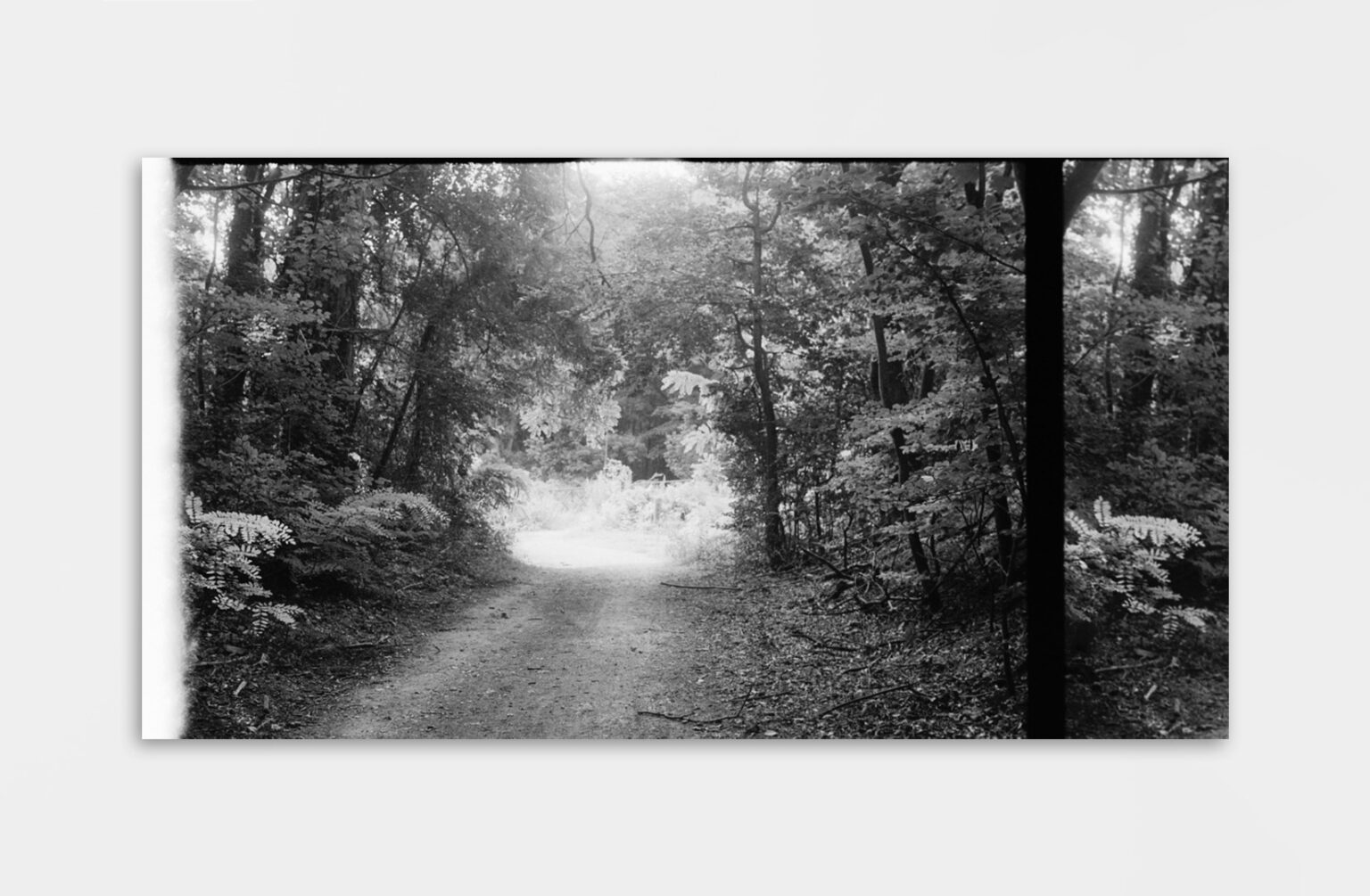 Juliette Alhmah - L'oasis