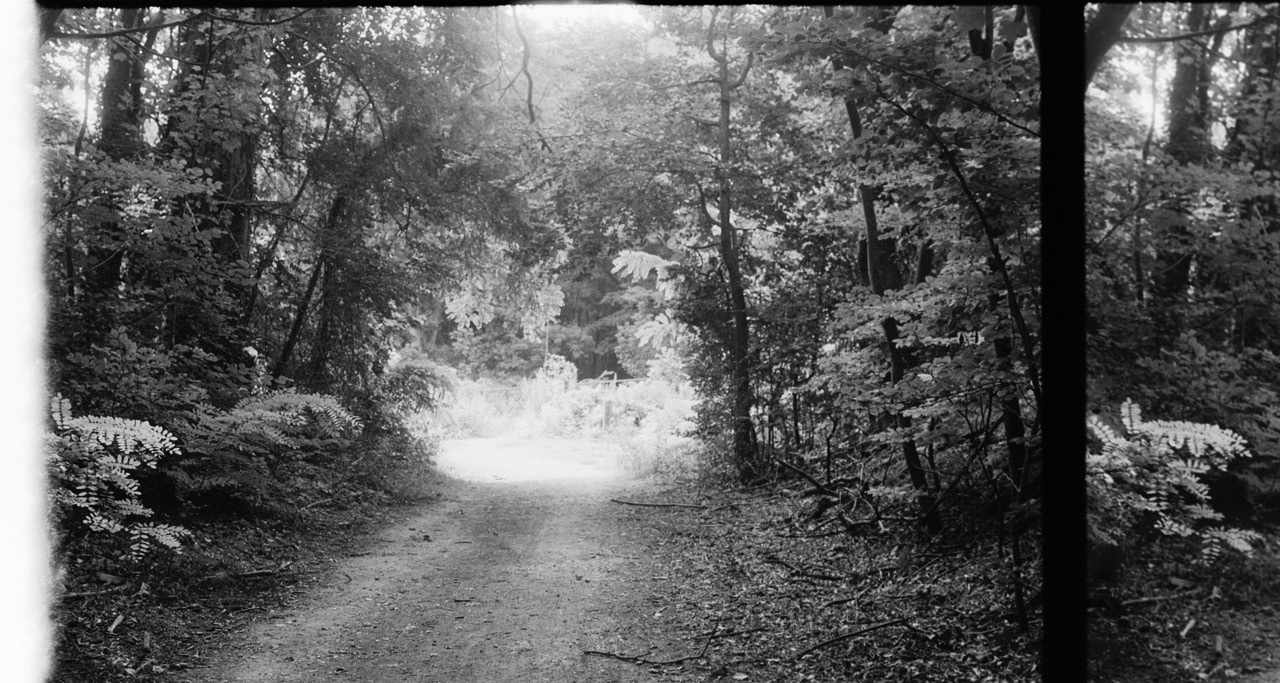 Juliette Alhmah - L'oasis