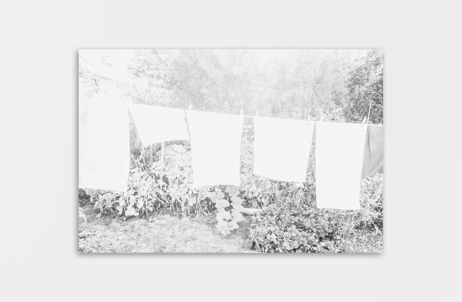 plus blanc que blanc - Juliette Alhmah