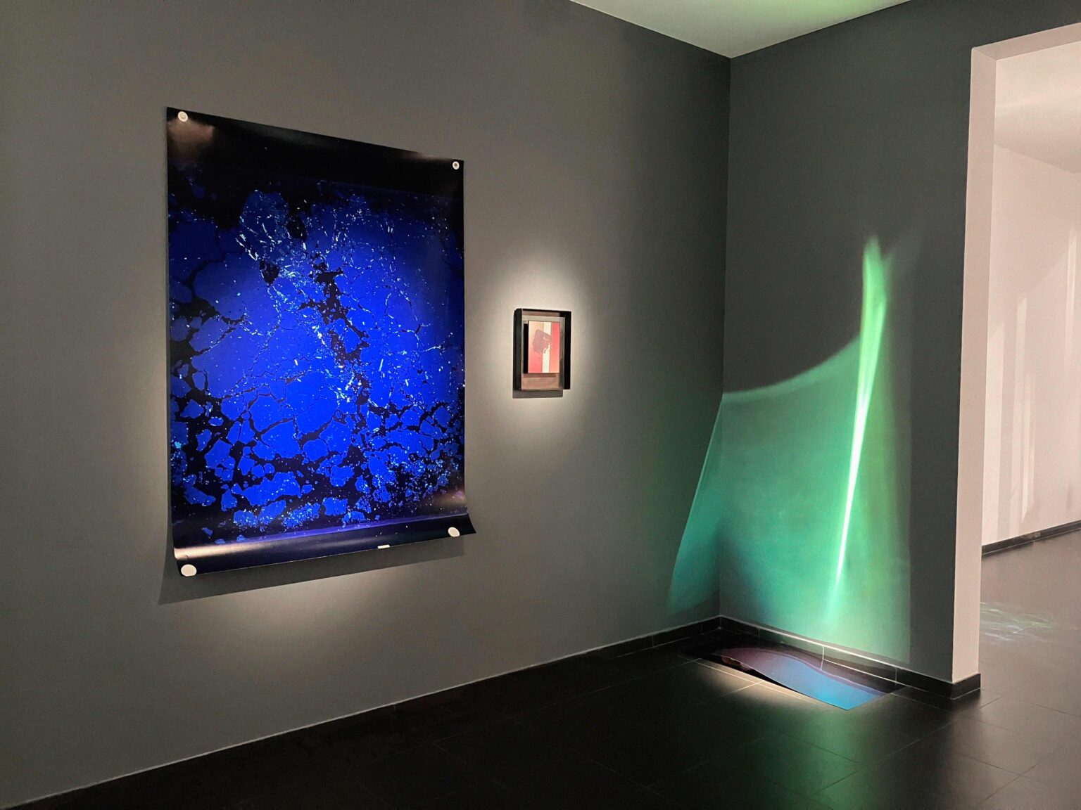 Laure Winants - Sensing Landscape